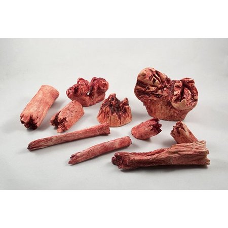 MOULAGE SCIENCE & TRAINING Simulated Bone Fragments, PK 10 MST-44-10